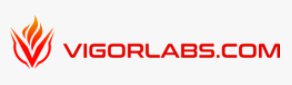 VigorLabs.com Logo