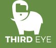 ThirdEye Data Logo