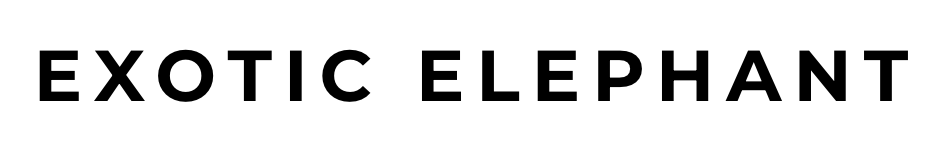 Exotic Elephant Logo