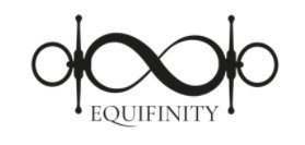 Equifinity Logo