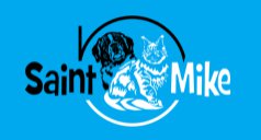 SaintNMike.com Logo