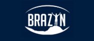 Brazyn Life Logo