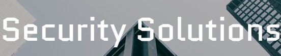 Securitysolutions.Store Logo