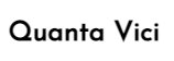 Quanta Vici Heated Socks Logo