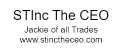 STInctheCEO.com Logo