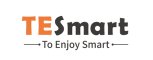 TeSmart DE Logo