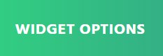 Widget Options Logo