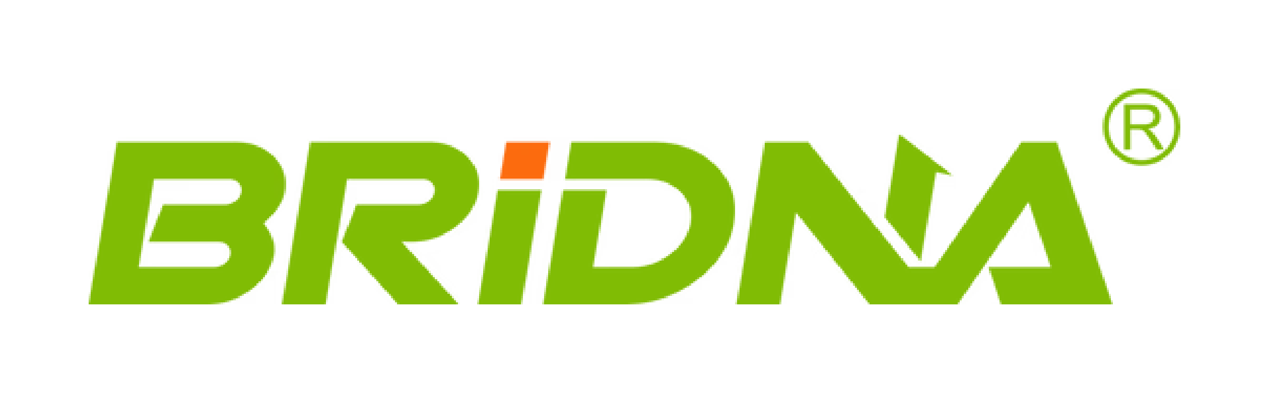 Bridna Logo