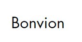 Bonvion Logo