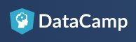 DataCamp Logo