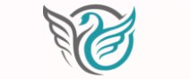 Dignitii Activewear Logo